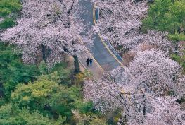베트남항공 프로모션