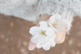 하노이 / 호치민 <--> 인천 항공평 스케출 (업데이트: 4월18일)