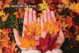 베트남 항공 - 노란 가을 특가 프로모션