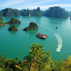 Paradise Explorer Cruise  - Halong  Day Tour 